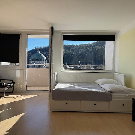 Domview Apartment St. Blasien Kültér fotó