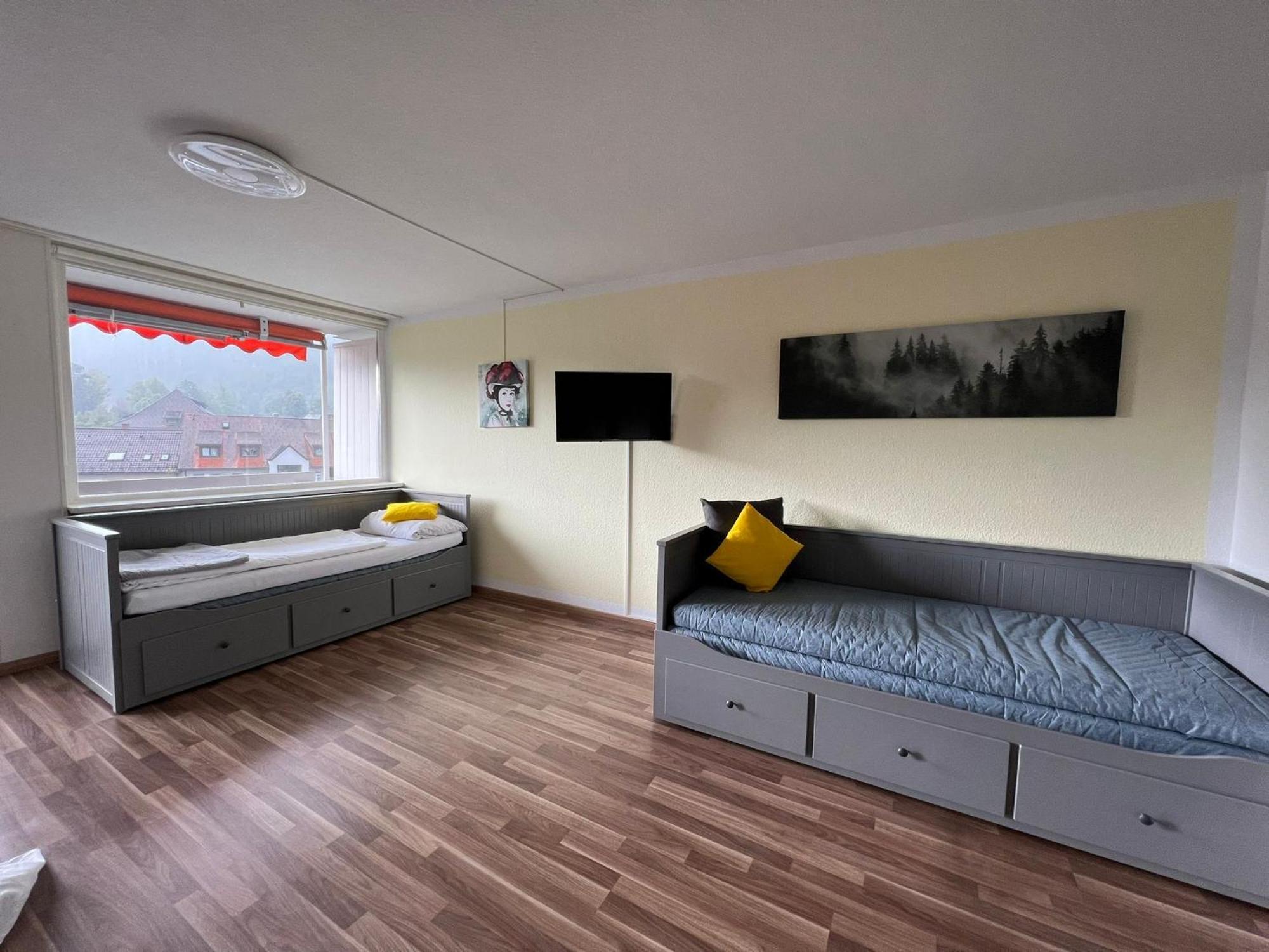 Domview Apartment St. Blasien Kültér fotó